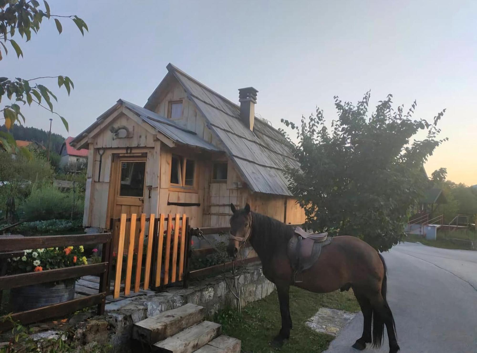 Etno Smjestaj Bjelasica Kolašin Екстериор снимка